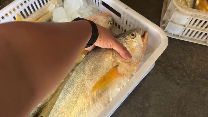 ما إن نشر الأخ فيديو عن سمك الهامور الأصفر الكبير حتى أثار موجة من الجدل من جديد… فكم من الأسرار لا 