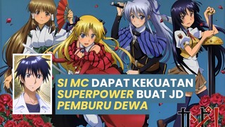 #017 ANIME REVIEW | Campione!