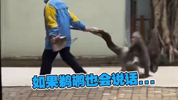 ฉันไม่อยากกลับไป!! 😭