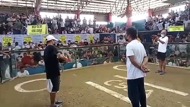 panalo Taylor jan