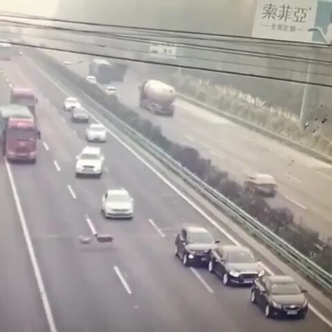 三只羊搭上四条人命