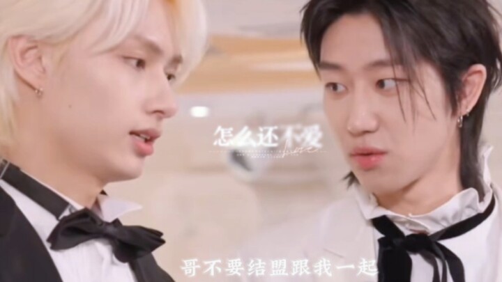 【จวิ้นปา】ฉันเลี้ยงแมวน้อยขี้อายตัวหนึ่งได้ดีมาก พวกคราไม่รู้ใช่ไหม