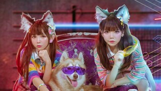 [Mùa hè đôi mười đôi] Khiêu vũ với bầy sói♈︎"Wild Wolf Disco" của Beast Ear Twins