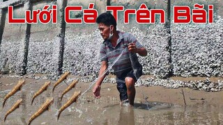 Lưới cá bống sao ''TRÊN BÃI BỒI'' kho tiêu ăn cơm chiều | Ngư Dân Miền Tây
