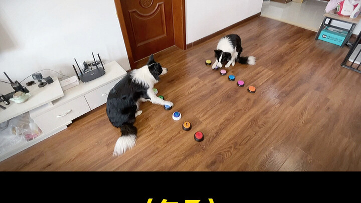 Dia diam-diam membina paman baru saat saya tidak di rumah...