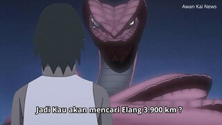 Boruto episode 275, 276 & 277 sub indonesia full terbaru belum rilis ? Elang langka dicari Sasuke