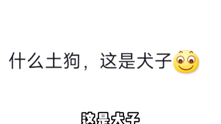 What “common mutt”?! This is my son!