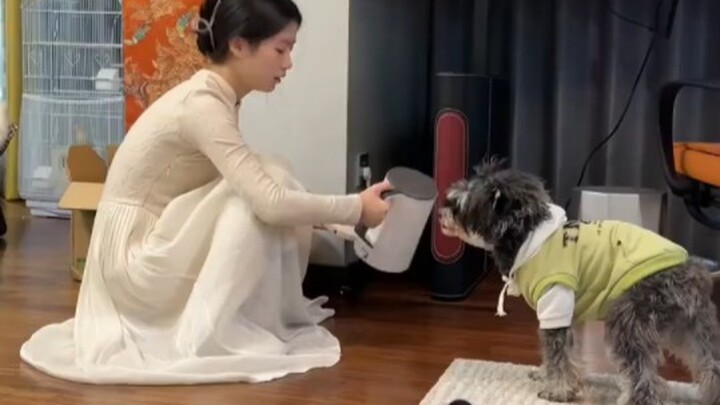 Đã mấy chục tuổi rồi mà không hiểu sao lại lớn đến thế.