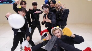 【Stray Kids】Cái gì, các bạn còn nhảy cả candy à