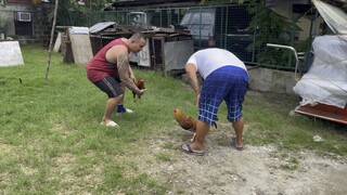 Unang sayaw ng 6months naten na golden boy! 😊🐓