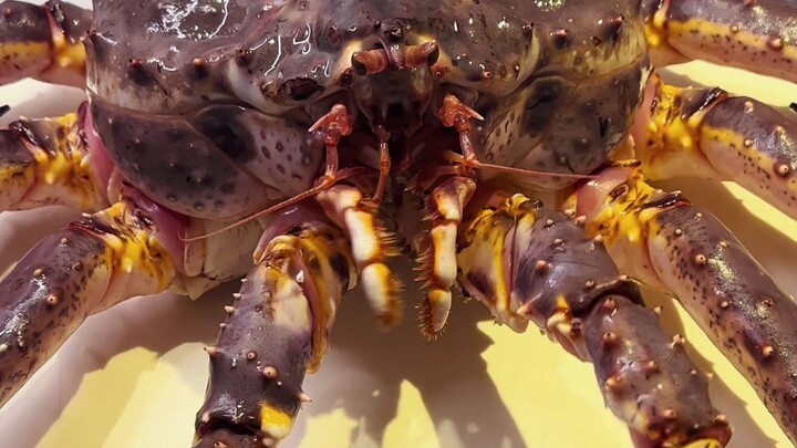 Bicara serius, kepiting raja yang kalian tunggu-tunggu sudah tiba!