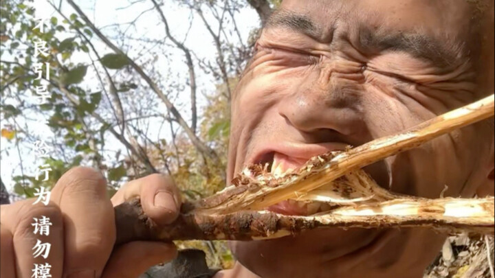 五星级荒野求生