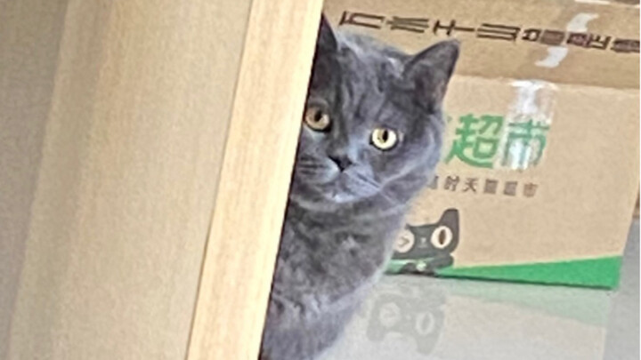 估计你是充话费送的