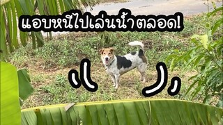โลกของแสนดี ตอน ฝนตกเผลอไม่ได้ ไม้เรียวมาาา!!