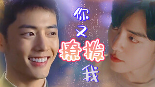 Xiao Zhan Shuixian | Watch the fifth episode of "You Tease Me Again" | Sweet Pet Flirtation Short Dr