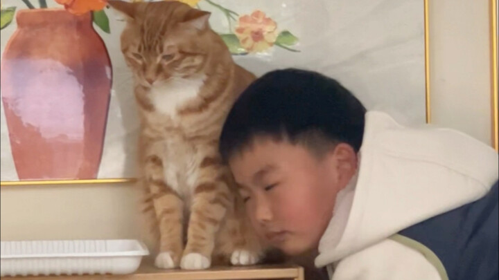 Nỗi bất lực của Đa Đa