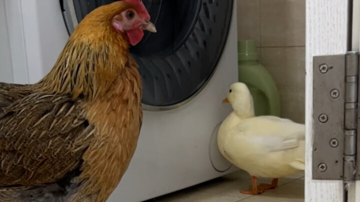 Every beast has its nemesis.