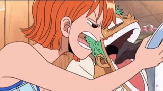 "One Piece" Straw Hat Team Mutual Pit Series (3) - Zoro: My wronged teammate Nami