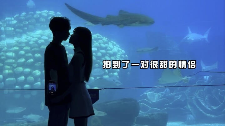 “Next time we meet, let’s start at the aquarium.”