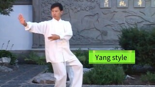 Yang style Taichi