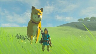 Shiba Inu in BOTW - The Legend of Zelda Breath of the Wild