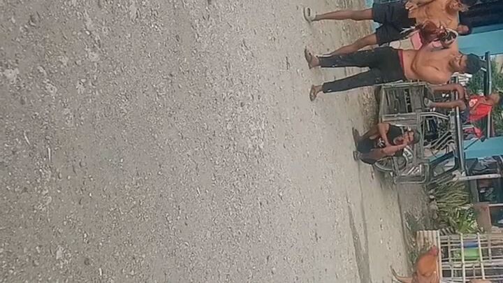 naka dali tinola lines natin 🤣🤣