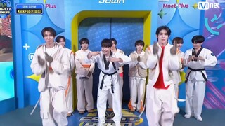 ชาของสุนัขตัวใหญ่สองตัวและสุนัขตัวเล็กหนึ่งตัว