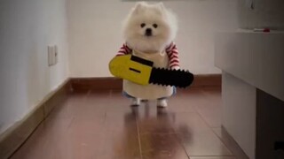 I come to your house for only three things!