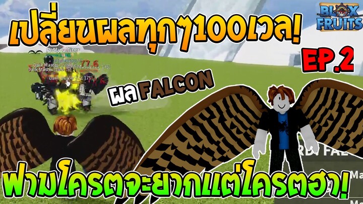 Roblox Bloxfruits เปลี่ยนผลทุกๆ100เวล!! EP.2 ได้ผลไหนเอาผลนั้นฟาม ได้ผลนกโบยบิน!!