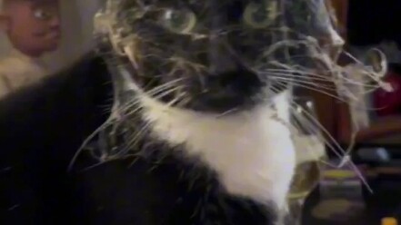 ขี้เล่นน่ารัก