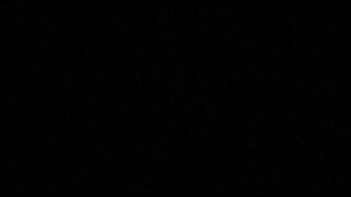 What if Coca Cola Family Animation had a logo