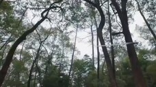 ฟ้าลิขิตเนรมิตรรัก พากไทย ตอนที่1/1#หนังส้้น #ซีรี่ดัง #หนังดัง