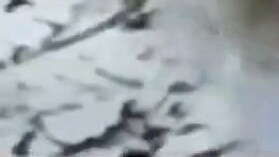 "Don't worry about Ali in a teamfight, she will evaporate on her own"