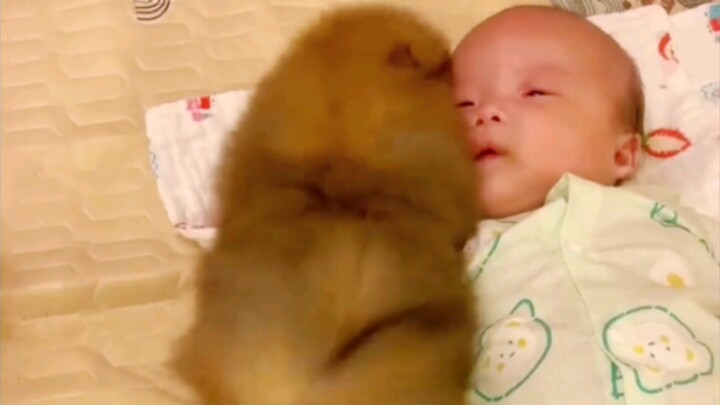 ซิ่วโก่ว: นัดกันไว้ว่าจะโตไปด้วยกัน ทำไมคุณถึงโตช้าขนาดนี้ล่ะ