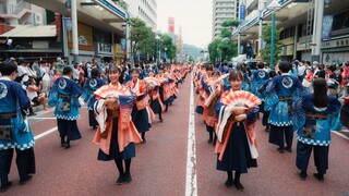 【8K】早稲田大学 東京花火『はれびより』（湘南よさこい2023 / Tokyo Hanabi 2023 “Harebiyori”）