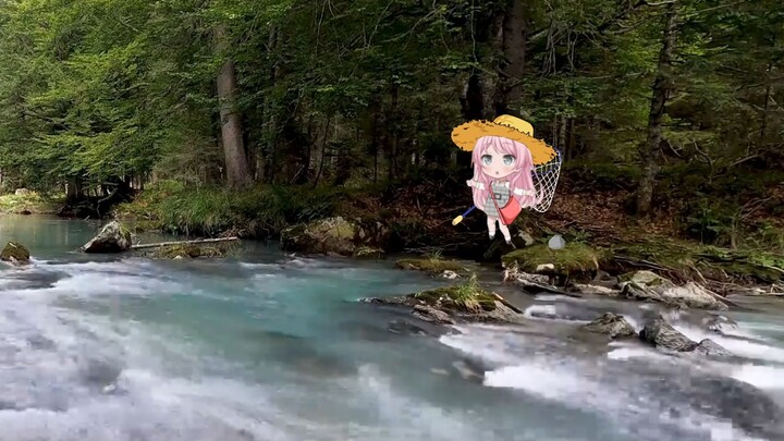 Aisu's family went on a summer vacation trip, and little Aiyin wandered in the mountains and forests