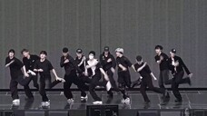 SEVENTEEN (세븐틴) - MAESTRO DANCE PRACTICE MIRRORED