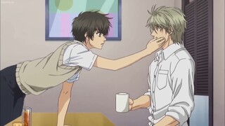 BL Anime Couple _ Scene Compilation