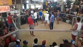 sweater kelso winner.antipolo minalabac