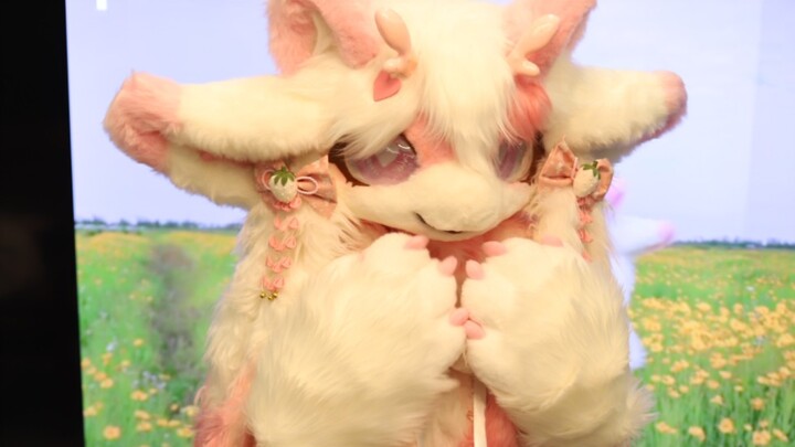 【Furry dễ thương】Nhìn đi, nhìn đâu cơ, đó là mình nè! Xấu hổ quá～