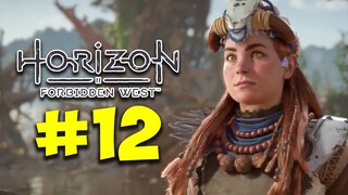 MENYELAMATKAN TENAKTH SURVIVOR YANG TERJEBAK DI TEBING!! - HORIZON FORBIDDEN WEST #12