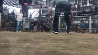 2hits ulutan San Pedro coliseum LEMON GWAPO
