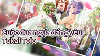 Cuộc đua ngựa đáng yêu
Tokai Teio