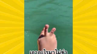 ผ่อนคลายกับสายฮา : เอาอะไรมาไม่ขำ