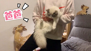 Pasangan kawaii dalam komik. | Pulang ke rumah bersama ayah untuk bertemu kakek, nenek, paman, dan b