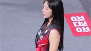 河智苑啦啦队 女排联赛助威