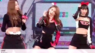 LESSERAFIM直播随机舞蹈跳师兄TXT+SEVENTEEN+BLACKPINK