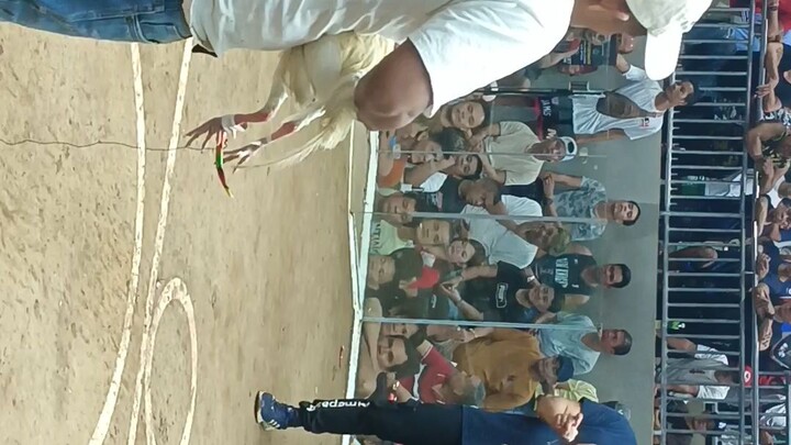 devils white vs gb sweater