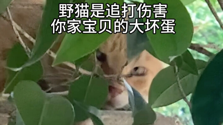 Part 4: Daily Life After the Battle of Conferment of Immortality