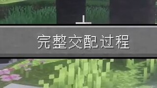 过程呢？